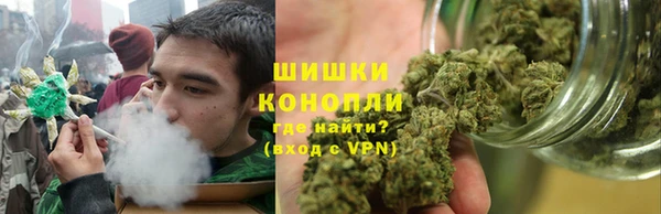 ПСИЛОЦИБИНОВЫЕ ГРИБЫ Козловка