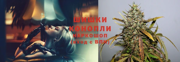ПСИЛОЦИБИНОВЫЕ ГРИБЫ Козловка