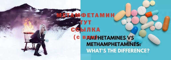 ПСИЛОЦИБИНОВЫЕ ГРИБЫ Козловка