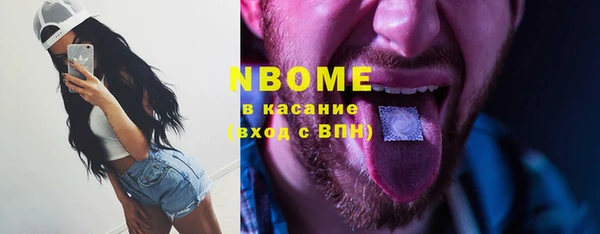дживик Краснослободск