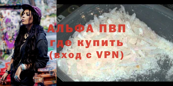 ПСИЛОЦИБИНОВЫЕ ГРИБЫ Козловка