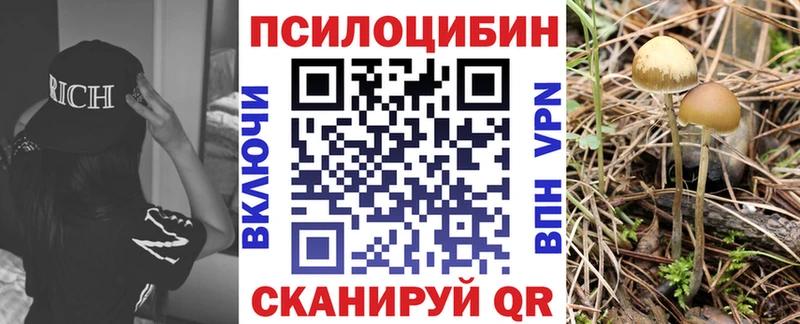 Галлюциногенные грибы Magic Shrooms  Краснознаменск 