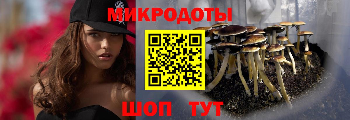 Галлюциногенные грибы прущие грибы  Вход с VPN  Краснознаменск  Псилоцибиновые грибы GOLDEN TEACHER 