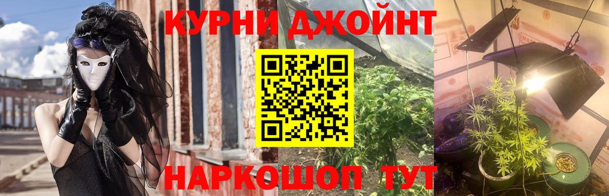 Бошки Шишки OG Kush  Канабис гибрид  Шишки марихуана семена  Каннабис Ganja  Краснознаменск  Вход с VPN 